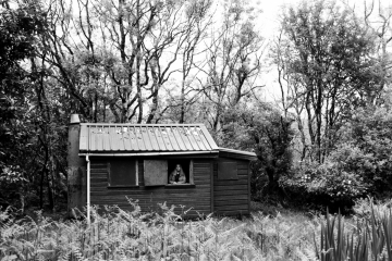 21-Isolated-hut-Carbeth-2