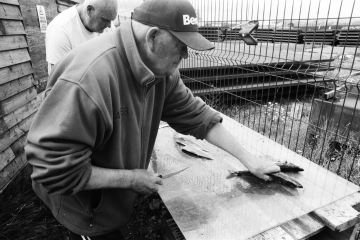 07-At-the-gutting-table-Middleton-Fishing-Cabins-Hartlepool