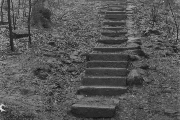 24-Otley-Chevin-steps-scaled