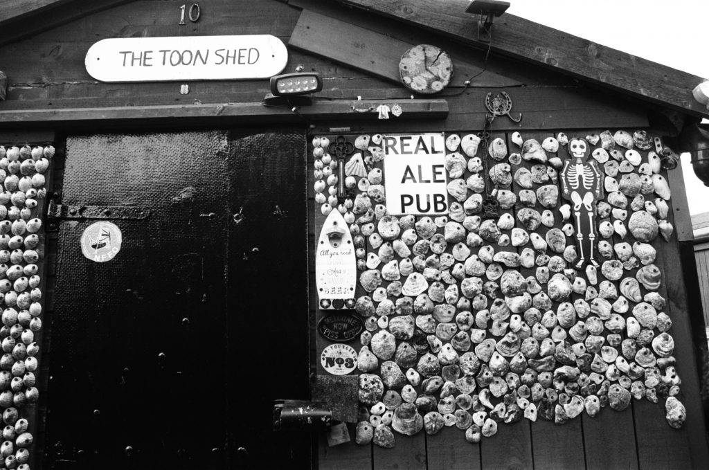 A shed, with sign that says, "The Toon Shed", decorated with barnacle shells.