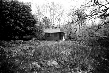 19-Carbeth-hut-146