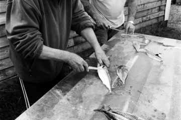 06-At-the-gutting-table-Middleton-Fishing-Cabins-Hartlepool