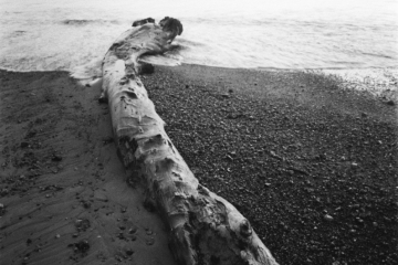 32-Early-morning-at-South-Gare