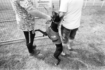 05-76-Whippet-racing-Pontefract