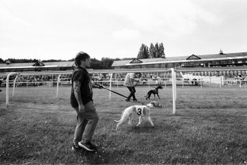 06-76-Whippet-racing-Pontefract