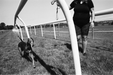 07-74-Whippet-racing-Pontefract