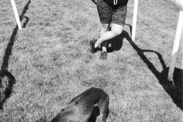 09-74-Whippet-racing-Pontefract