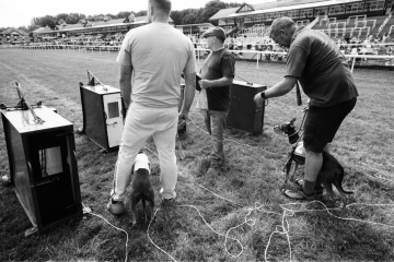11-76-Whippet-racing-Pontefract