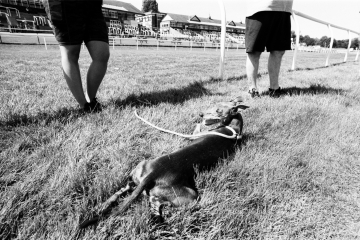 22-75-Whippet-racing-Pontefract