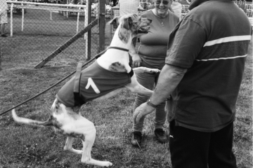 31-74-Whippet-racing-Pontefract
