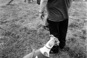 32-74-Whippet-racing-Pontefract