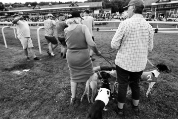 34-76-Whippet-racing-Pontefract